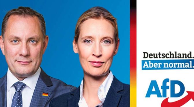 Das Wahlprogramm der AfD