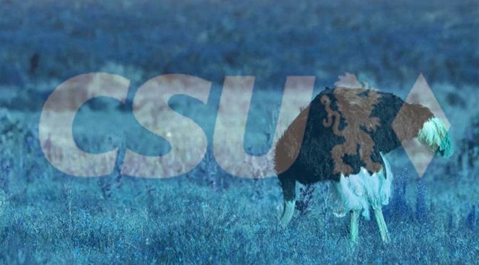 „Vogel-Strauß-Politik“ à la CSU